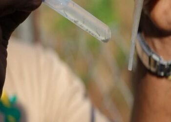 Panamá acumula más de 5,000 casos de dengue y 16 muertes