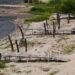 Sequía reduce niveles de lagos y lagunas y presiona reservas de agua en Centroamérica