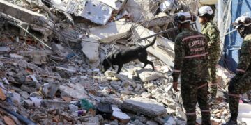 Se eleva a 234 la cifra de muertos en Colombia por terremoto y mantienen en alerta varias ciudades
