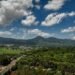 Costa Rica realiza el primer implante de una prótesis craneal fabricada con una impresora 3D