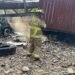 Accidente en Guatemala deja al menos un muerto y provoca el colapso de un puente en Zacapa