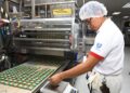 Las grandes empresas de El Salvador son 261 veces más grandes que los pequeños negocios