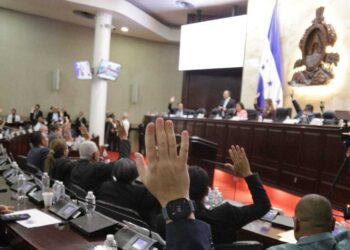 Honduras reforma la Ley del Registro Nacional para identificar a menores y facilitar trámites por defunciones en el extranjero