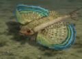 Descubren en Panamá una nueva especie de pez fósil