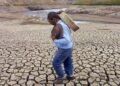 El Salvador, Honduras y Belice, los países de Centroamérica más afectados por El Niño en los próximos tres meses
