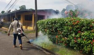 Panamá en alerta por más de 4,900 casos confirmados de dengue