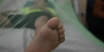 Aumenta 78 % la captura de menores que cometen delitos en Honduras