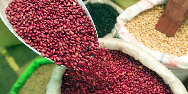 En Honduras, el precio del frijol subiría casi un 8% por la sequía que afecta la nueva cosecha