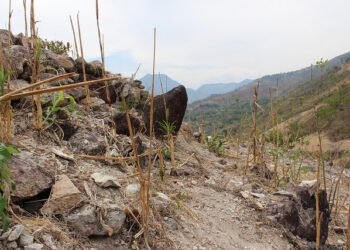 Guatemala: 3.2 millones enfrentarán inseguridad alimentaria en 10 departamentos