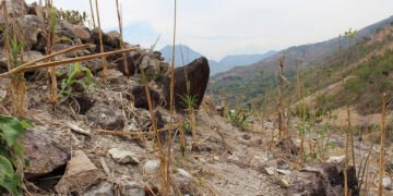 Guatemala: 3.2 millones enfrentarán inseguridad alimentaria en 10 departamentos