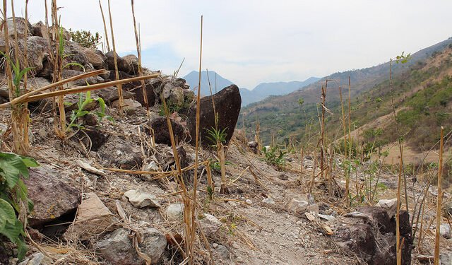 Guatemala: 3.2 millones enfrentarán inseguridad alimentaria en 10 departamentos