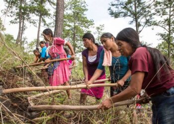 Guatemala suma 700,000 personas en inseguridad alimentaria en tres meses y ya afecta al 17% del país