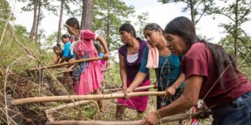 Guatemala suma 700,000 personas en inseguridad alimentaria en tres meses y ya afecta al 17% del país