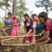 Guatemala suma 700,000 personas en inseguridad alimentaria en tres meses y ya afecta al 17% del país