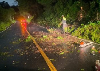 Guatemala atiende al menos ocho emergencias por lluvias entre domingo y este lunes