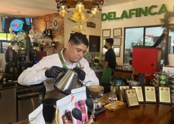 Destacan café nicaragüense entre los mejores de Latinoamérica en el Global Coffee Awards 2026