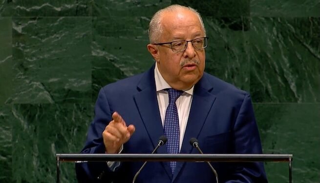 Canciller guatemalteco advierte en la ONU sobre amenazas del crimen organizado a democracia  