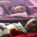 Honduras supera los 8,000 casos de dengue y confirma cuatro muertes en 2026