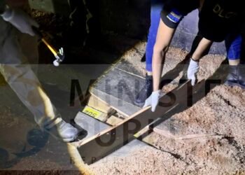 ¡Decomiso fallido! Los 520 kilos de “cocaína” incautados en Honduras eran desparasitantes