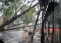 Fuertes lluvias y vientos sorprenden y provocan emergencias en Ciudad de Guatemala