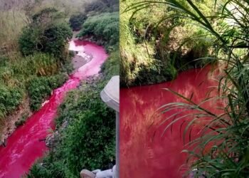 Río en Guatemala cambia de color y activa investigación por contaminación en medio de críticas ciudadanas