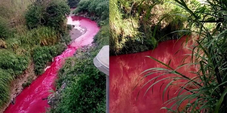Río en Guatemala cambia de color y activa investigación por contaminación en medio de críticas ciudadanas