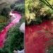 Río en Guatemala cambia de color y activa investigación por contaminación en medio de críticas ciudadanas