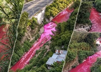 Guatemala cierra por 5 días fábrica investigada por teñir de rojo el río Las Vacas