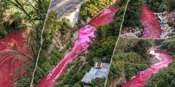 Guatemala cierra por 5 días fábrica investigada por teñir de rojo el río Las Vacas
