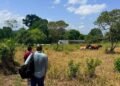 Guatemala monitorea cultivos en 123 municipios por temperaturas superiores a 35 grados