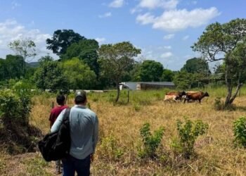 Guatemala monitorea cultivos en 123 municipios por temperaturas superiores a 35 grados