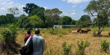 Guatemala monitorea cultivos en 123 municipios por temperaturas superiores a 35 grados