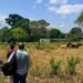 Guatemala monitorea cultivos en 123 municipios por temperaturas superiores a 35 grados