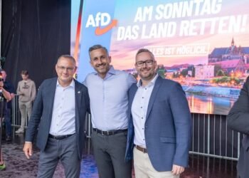 Aunque no llegue a formar Gobierno, el partido ultraderechista AfD sacude el tablero de la política alemana