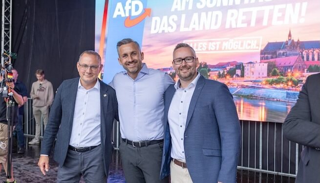 Aunque no llegue a formar Gobierno, el partido ultraderechista AfD sacude el tablero de la política alemana