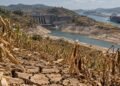 El Niño golpeará a Centroamérica en 3 frentes: alimentos, electricidad y comercio marítimo