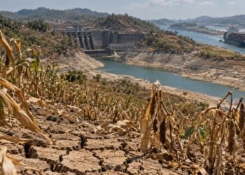 El Niño golpeará a Centroamérica en 3 frentes: alimentos, electricidad y comercio marítimo