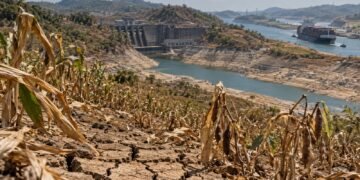 El Niño golpeará a Centroamérica en 3 frentes: alimentos, electricidad y comercio marítimo
