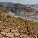 El Niño golpeará a Centroamérica en 3 frentes: alimentos, electricidad y comercio marítimo