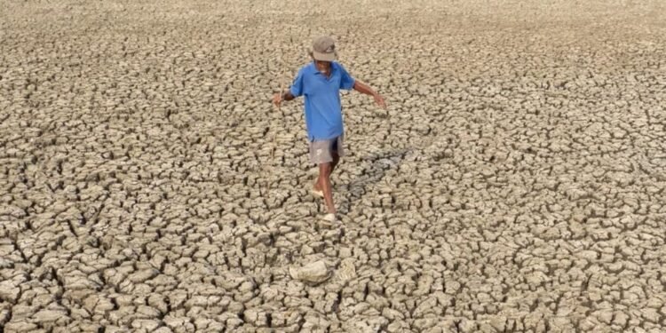 Alerta: El Niño es el más fuerte jamás registrado y se extenderá hasta 2027