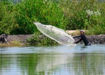 Sequía deja sin pesca a más de 1,000 familias en una laguna de 500 hectáreas en Honduras