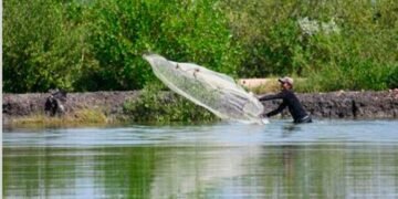 Sequía deja sin pesca a más de 1,000 familias en una laguna de 500 hectáreas en Honduras