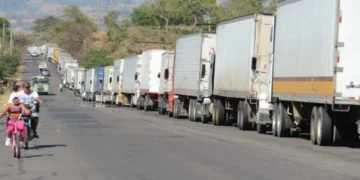 Cámara de Comercio Exterior de Costa Rica pide eliminar “restricciones logísticas” en Panamá y Honduras