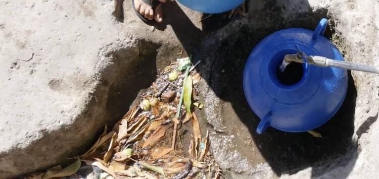 Poblados sin acceso a agua potable en Costa Rica sufren alta incidencia de parásitos intestinales