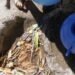 Poblados sin acceso a agua potable en Costa Rica sufren alta incidencia de parásitos intestinales