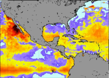 Los arrecifes de coral del Pacífico centroamericano mantienen alerta por calor