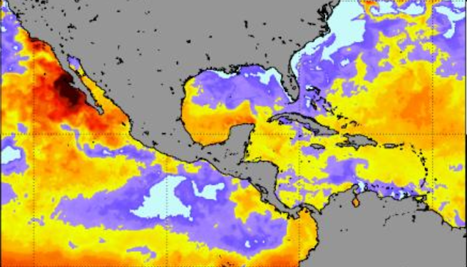 Los arrecifes de coral del Pacífico centroamericano mantienen alerta por calor